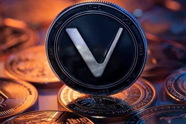 VeChain trafia do Revoluta