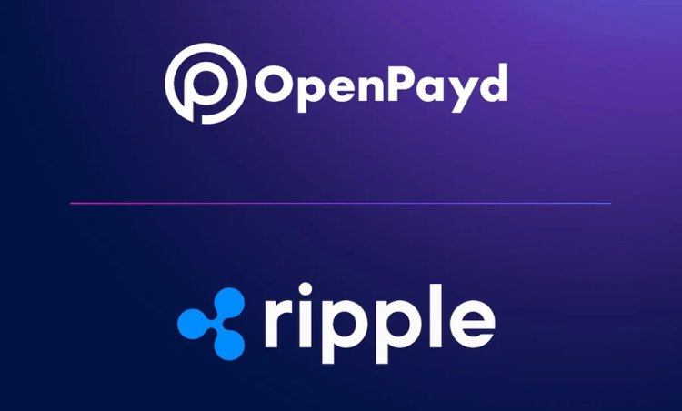 Ripple i OpenPayd łączą siły