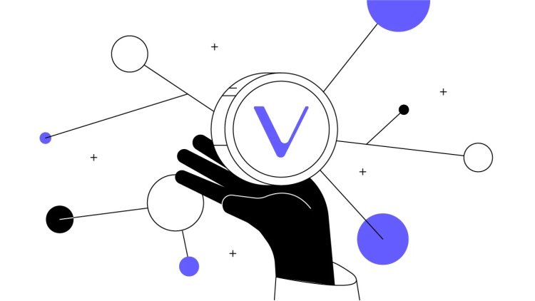 Acta Logistica wyróżnia sukces VeChain