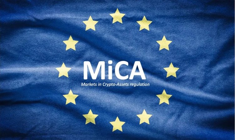 MiCA - pierwsze sukcesy