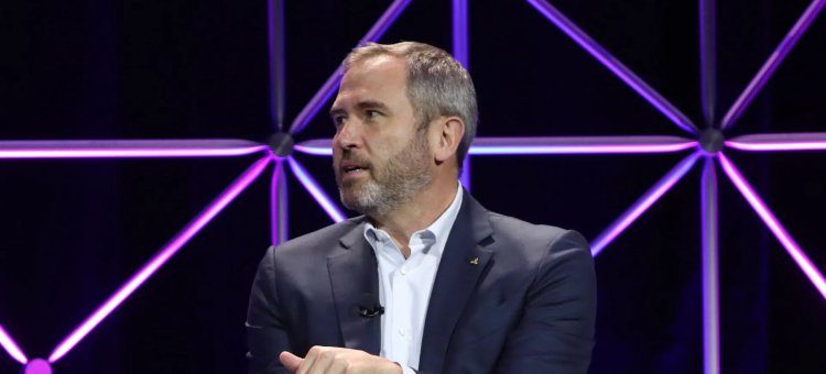 CEO Ripple  przed Senatem USA