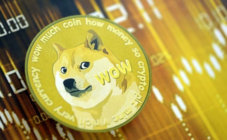 DOGE w rajdzie, twórca komentuje