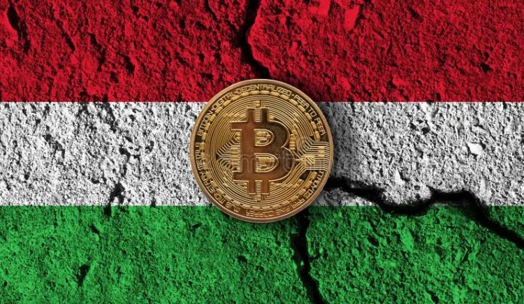 Węgry karają handel kryptowalutami