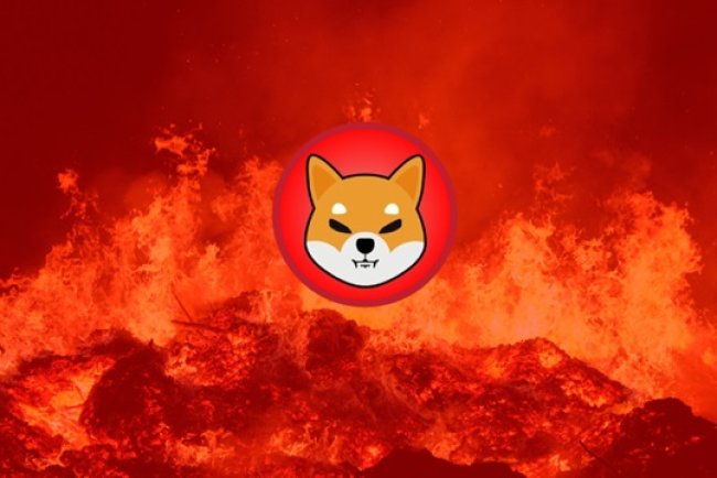 SHIB community spaliło tokeny za... 13 złotych