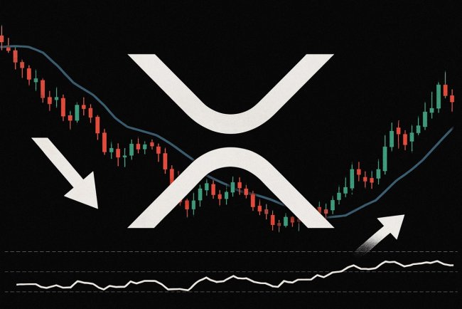 Analiza XRP:  Wieloryby dalej sprzedają