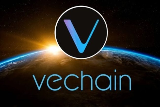 VeChain doceniony w badaniach naukowych