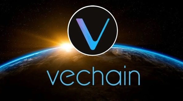 VeChain doceniony w badaniach naukowych