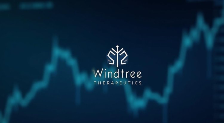 Firma z BNB w skarbcu spadła o 77%