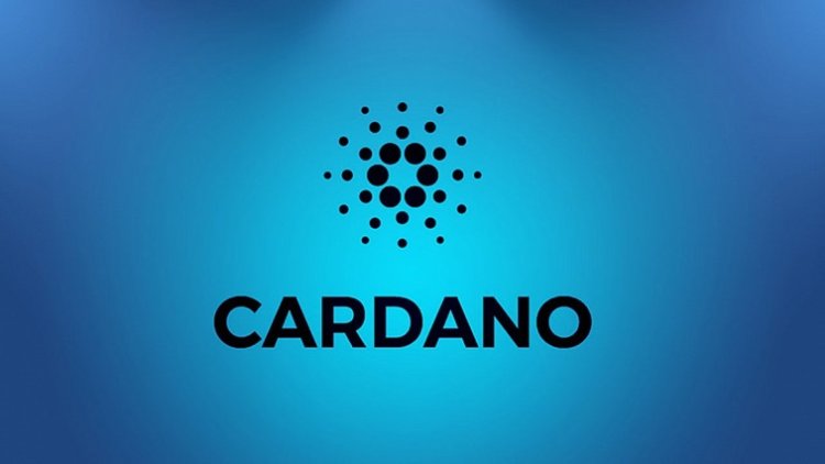 Cardano uruchamia portal dla programistów