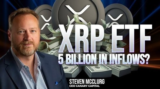 CEO: XRP popularniejsze od Ethereum