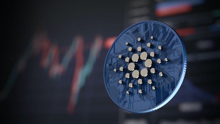 Cardano: audyt obala zarzuty