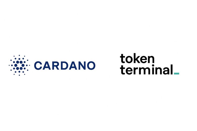 Cardano łączy się z Token Terminal