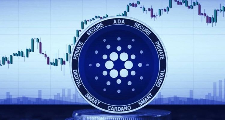 ADA Cardano w punkcie zwrotnym