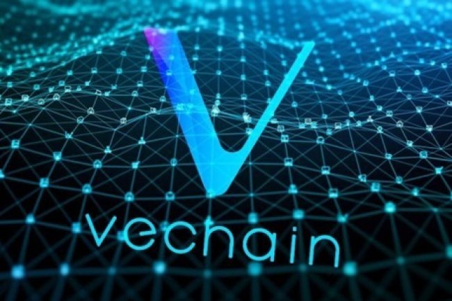 Partnerstwo VeChain i Lululemon