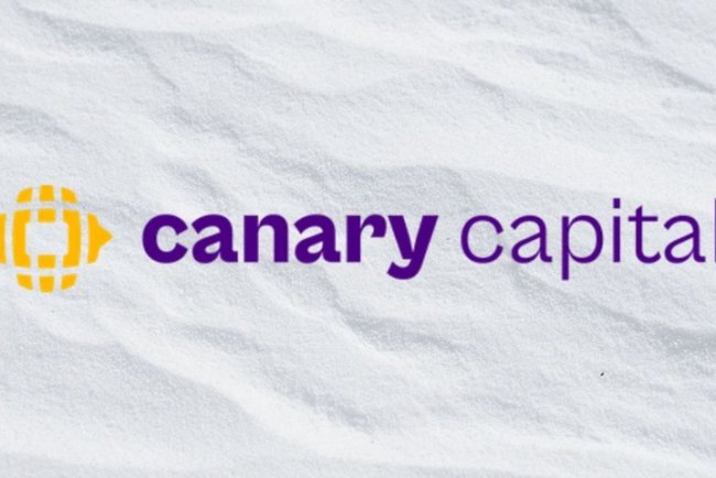 Nowe ETF-y na Litecoin i Hedera