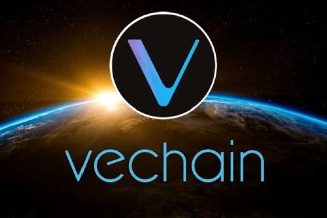VeChain wprowadza staking NFT
