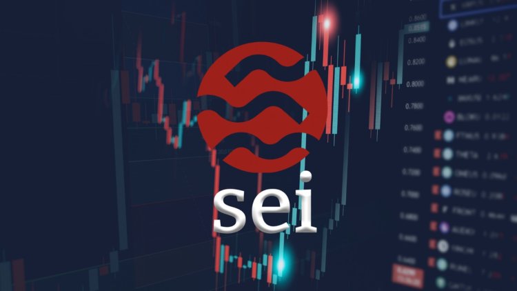 SEI: potencjał wzrostu o 120%