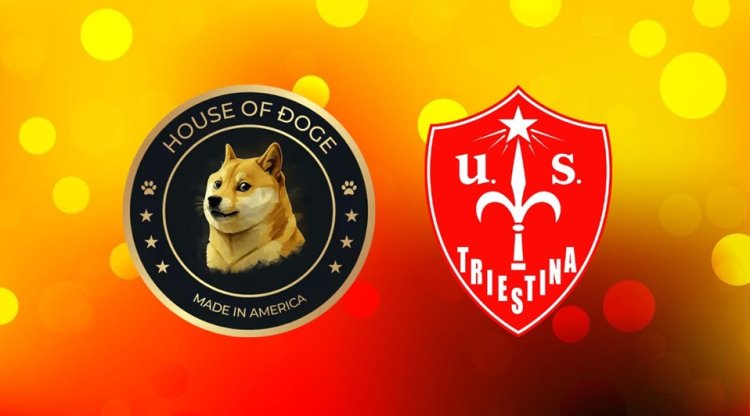 House of Doge w Serie C