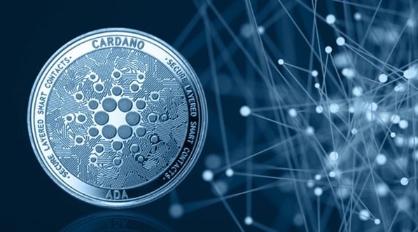 Cardano stawia na własne domeny