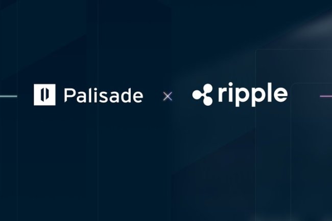 Ripple przejmuje Palisade