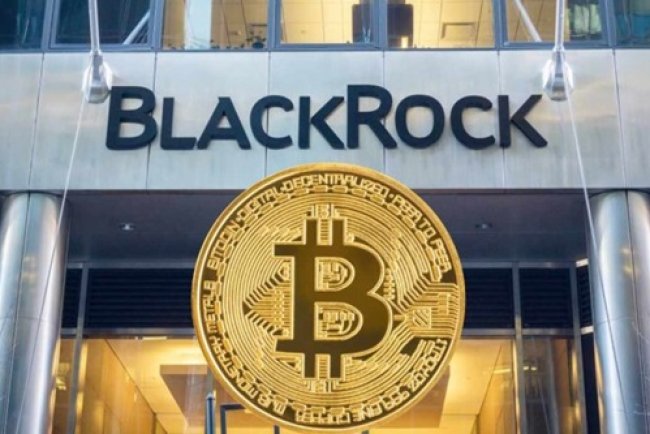 BlackRock komentuje odpływy