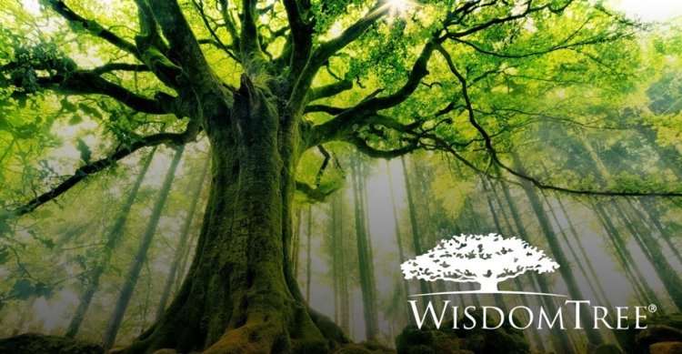 WisdomTree wchodzi w blockchain