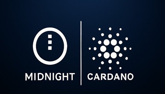 Cardano broni prywatności