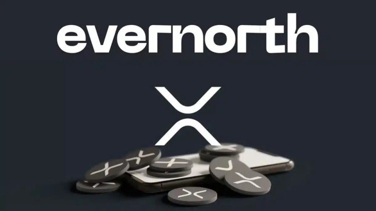 Evernorth stawia na XRP