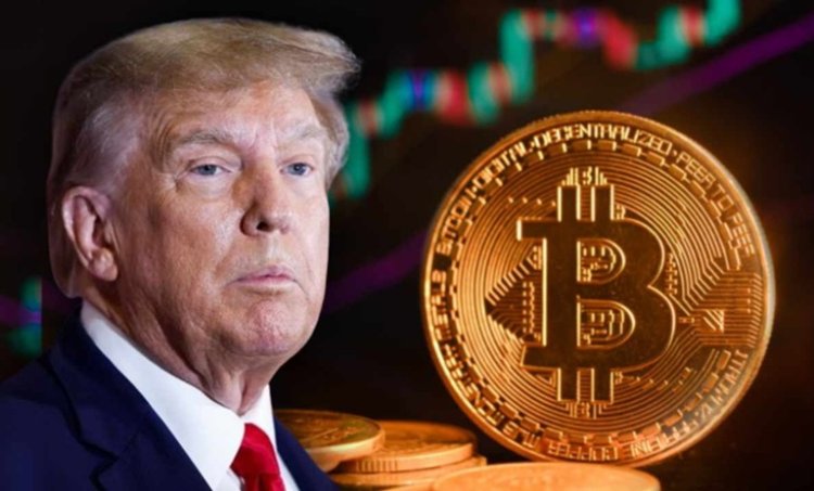 65 firm żąda regulacji