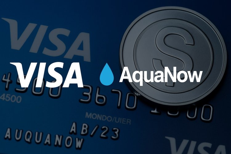 Visa stawia na stablecoiny