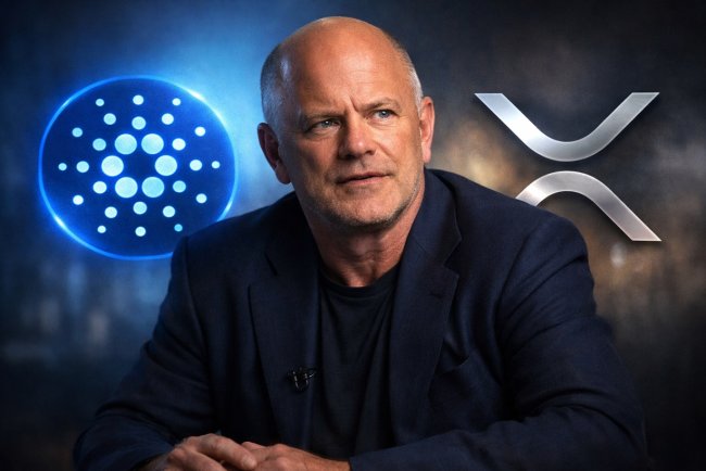 Novogratz o XRP i Cardano