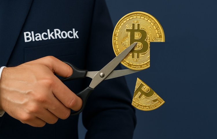 BlackRock tnie pozycje w krypto