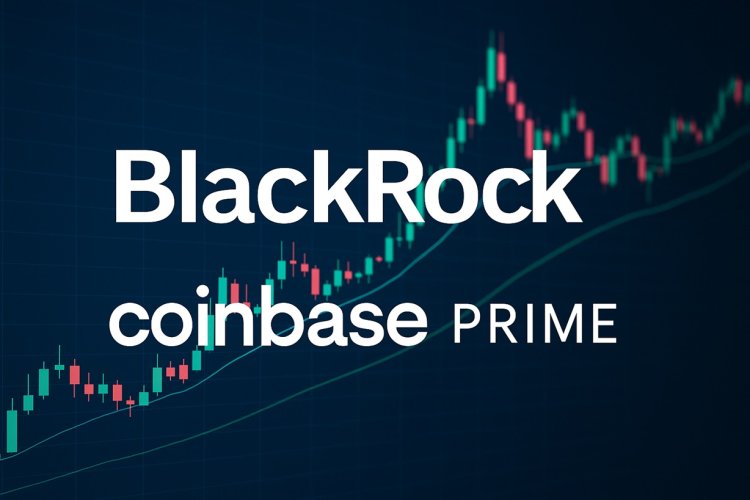 BlackRock przenosi Bitcoiny