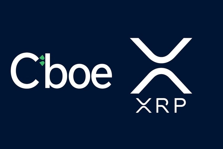 XRP rośnie w ETFach