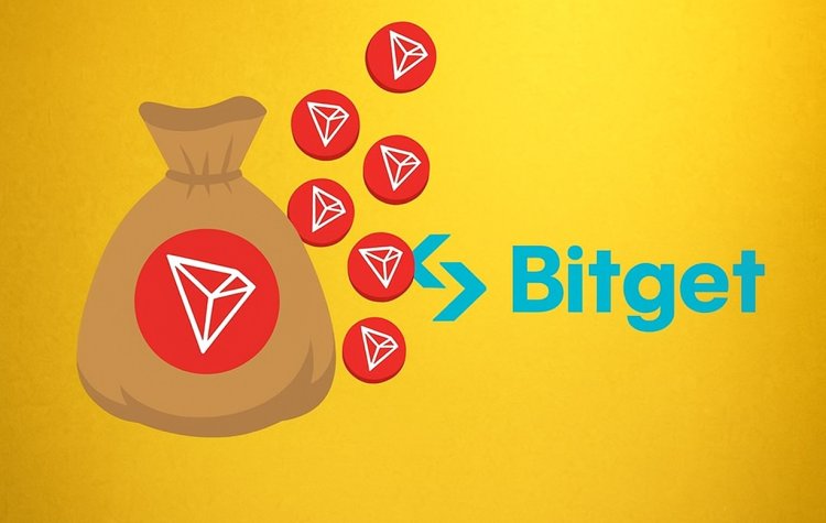 Bitget nagradza czytelników OtoKrypto