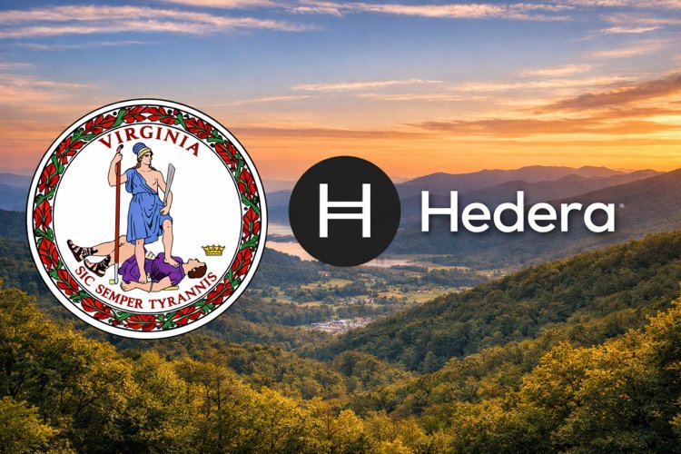 Hedera wspiera rynek w Wirginii