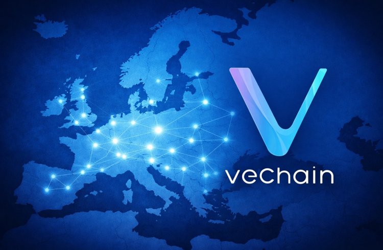 VeChain w europejskim DPP