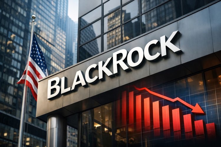 BlackRock studzi oczekiwania