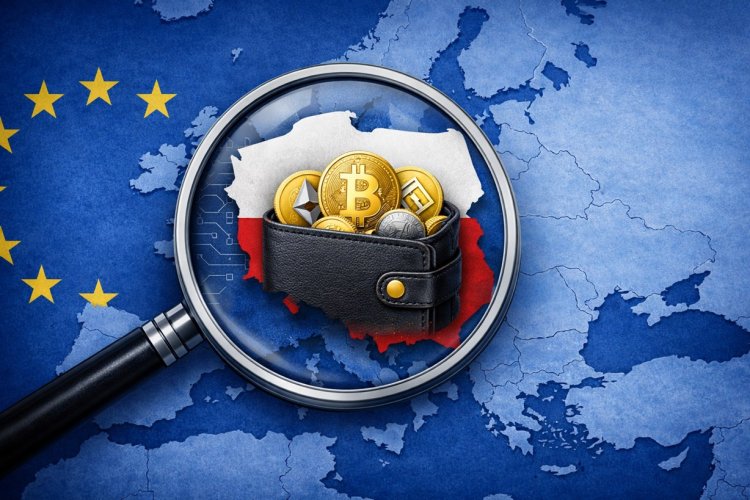 DAC8- Nowe narzędzie do fiskalnego ucisku