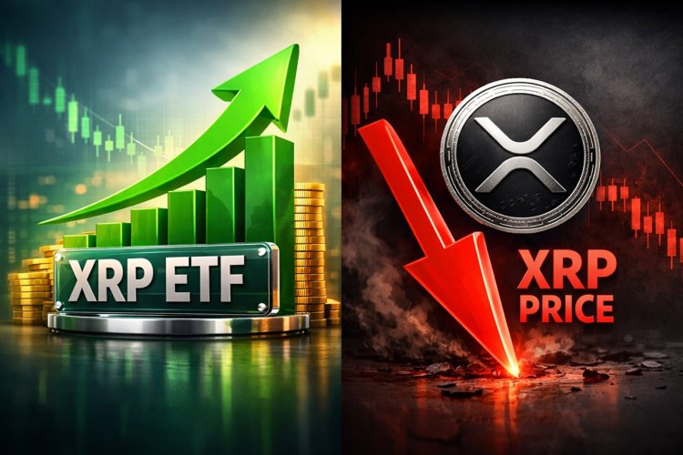 ETF na XRP zaskakuje rynek