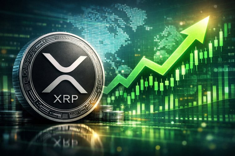 Silne napływy do ETFów windują cenę XRP