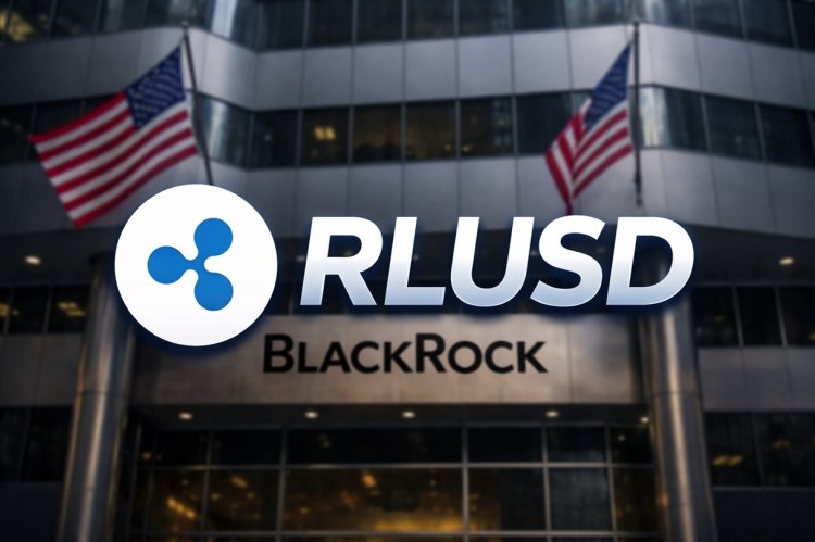 RLUSD w finansach instytucjonalnych