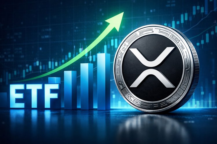 Fundusze XRP ETF znów zyskują