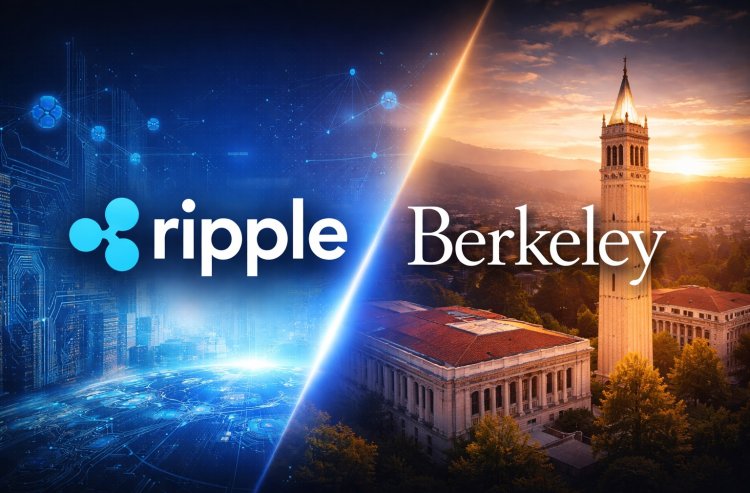 Ripple i Berkeley wspierają startupy
