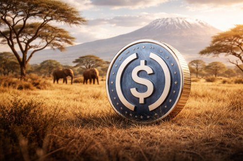 USDC rośnie w Afryce