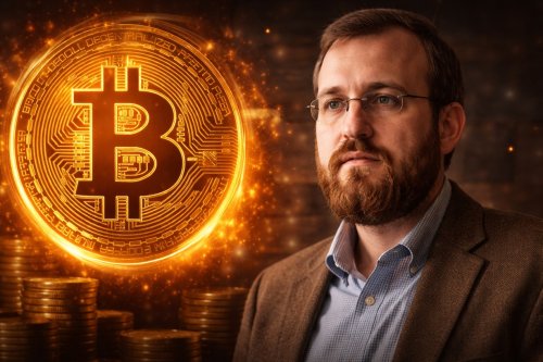 Hoskinson: ujawnienie Satoshiego zagrozi Bitcoinowi