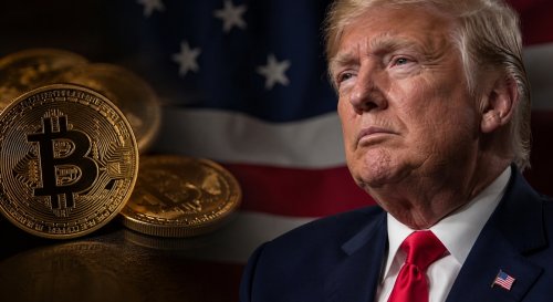 Warren krytykuje  projekt Trumpa