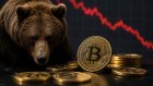 CEO Zama: To najgorsza bessa w historii