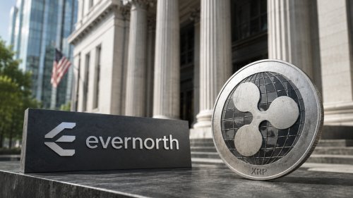 Evernorth: aktywność w XRP Ledger rośnie