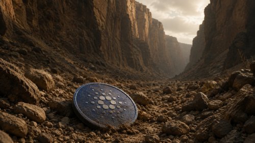 Cardano na pięcioletnim dnie